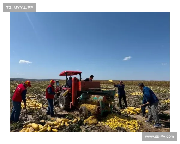 体育元素助力乡村振兴,乡村户外运动有效带动农民增收与地域发展。 体育元素助力乡村振兴,乡村户外运动有效带动农民增收与地域发展。